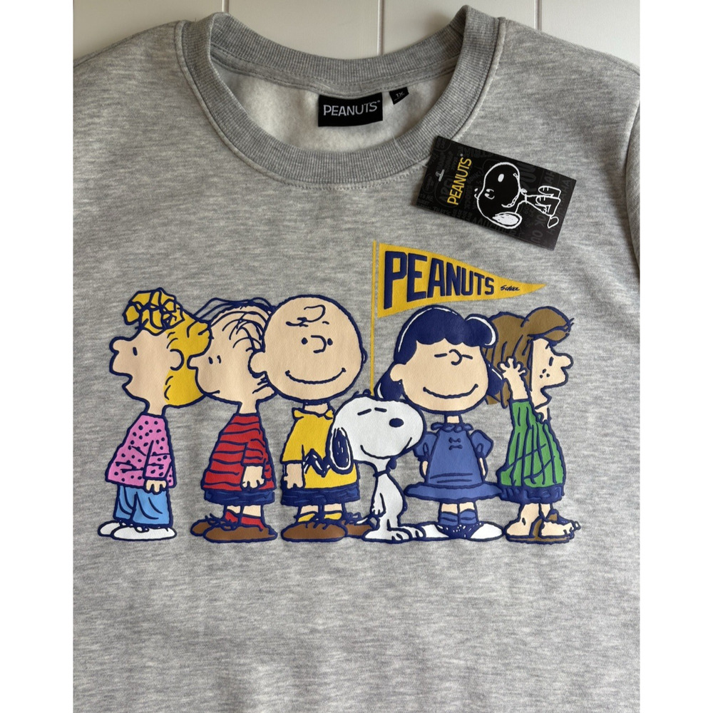 NWT Peanuts Charlie Brown Snoopy Gray Graphic Crewneck Sweatshirt Plus Size 1X - Picture 4 of 9